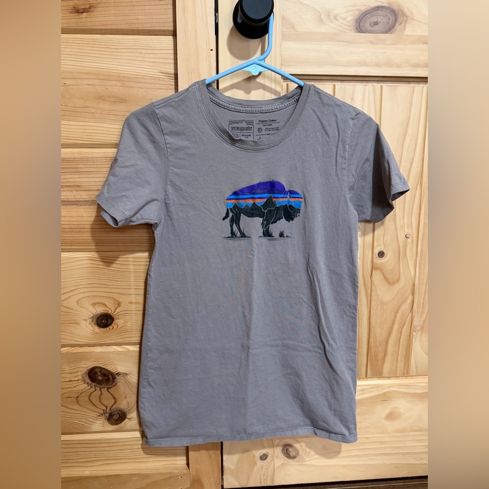 Patagonia Fitz Roy Bison T-Shirt Women’s XS